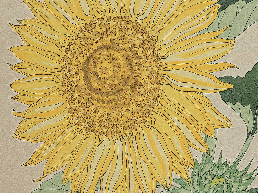 Himawari by Kawarazaki Shodo, (Large print size) / BJ346-276