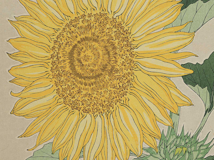 Himawari by Kawarazaki Shodo, (Large print size) / BJ346-276