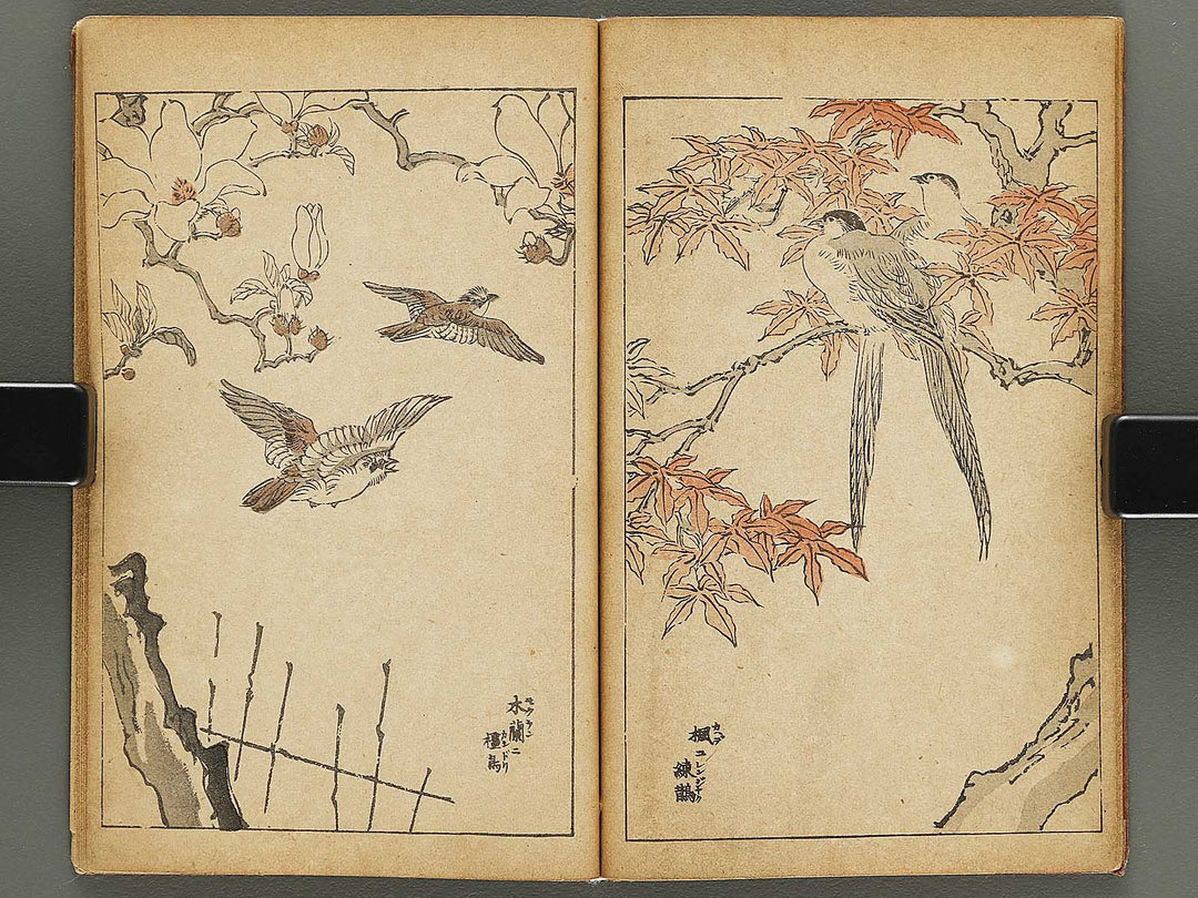 Kacho gafu by Adachi Ginko / BJ333-438