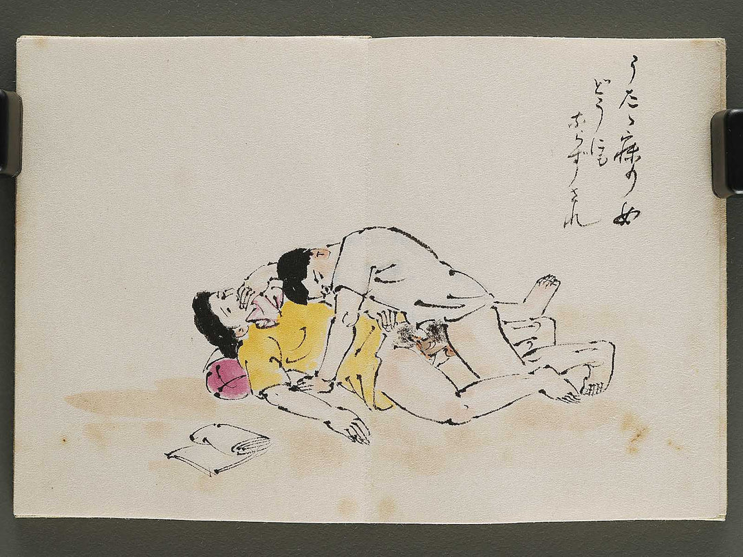 Gendai senryu kaigashu / BJ325-731