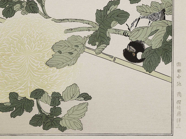 Branta canadensis and Robin from the series Momochidori kyokaawase by Kitagawa Utamaro, (Large print size) / BJ327-999