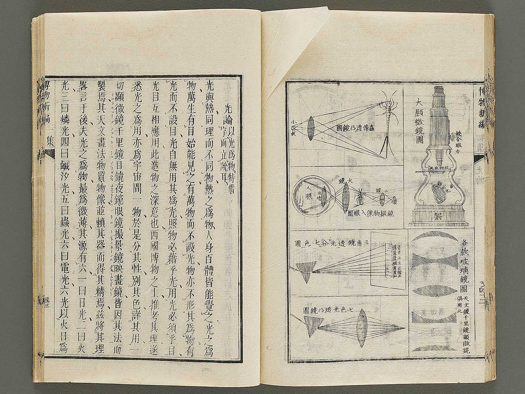 Hakubutsu Shinpen Volume 1 / BJ336-462
