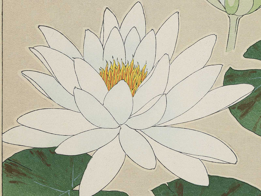 Suiren by Kawarazaki Shodo, (Large print size) / BJ346-283