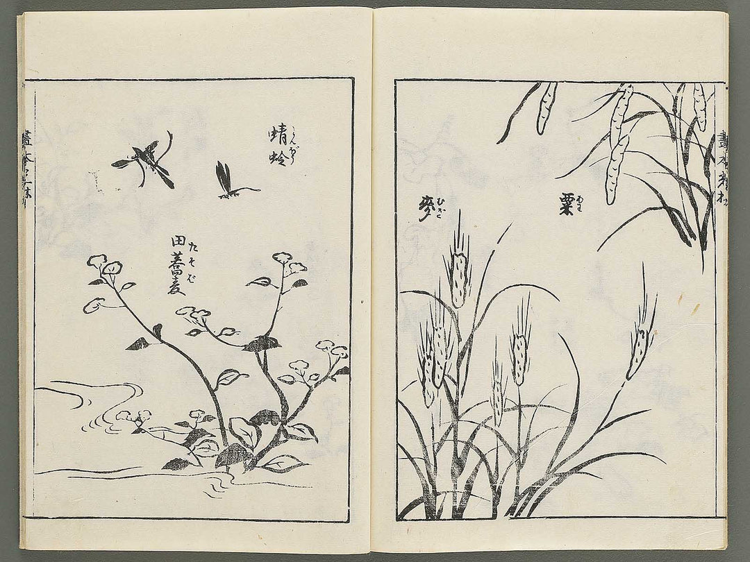 Korin michishirube by Nonomura Chube / BJ351-141