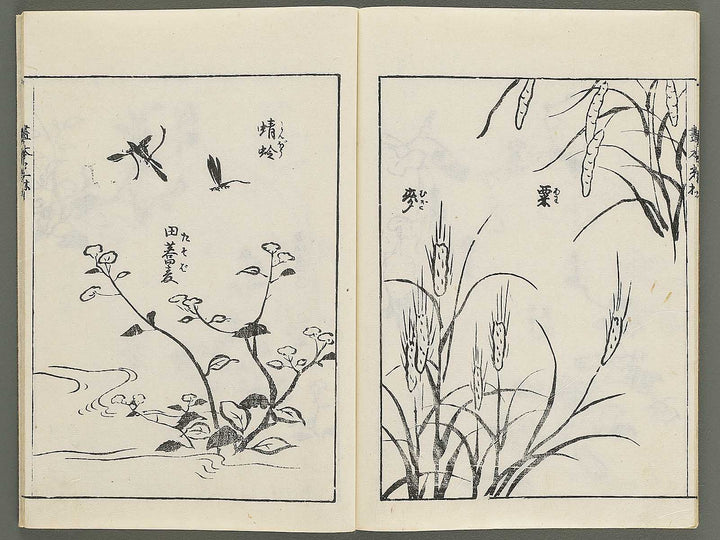 Korin michishirube by Nonomura Chube / BJ351-141