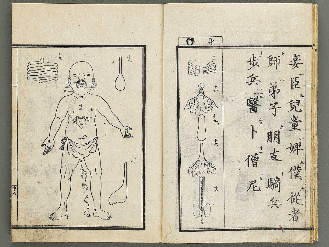 Tzngohen zushiki (Ge) / BJ323-001