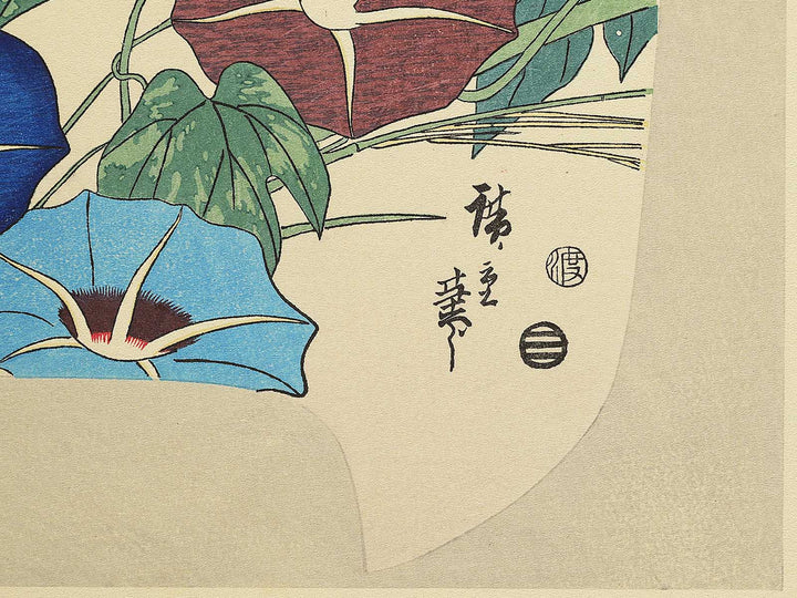 Asagao from the series Shiki no hanazukushi by Utagawa Hiroshige, (Medium print size) / BJ330-547