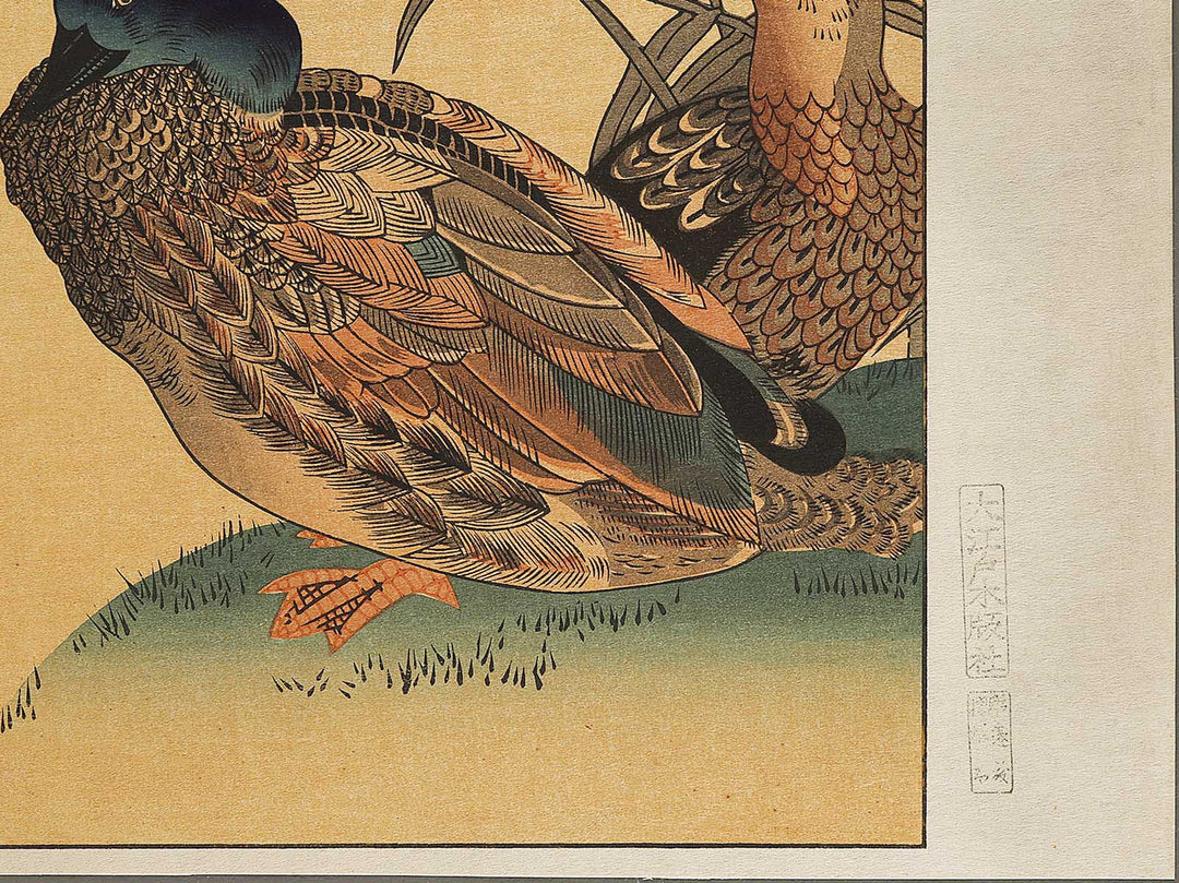 Duck and Kingfisher from the series Momotidori kyoka awase by Kitagawa Utamaro, (Large print size) / BJ328-349