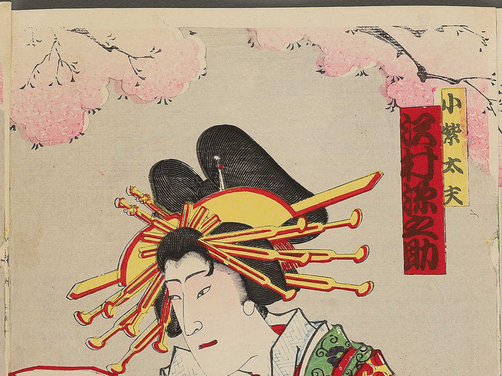 Meijiza nibanme Mizuomodaka haregi no karaken by Kochoro Hosai / BJ353-269