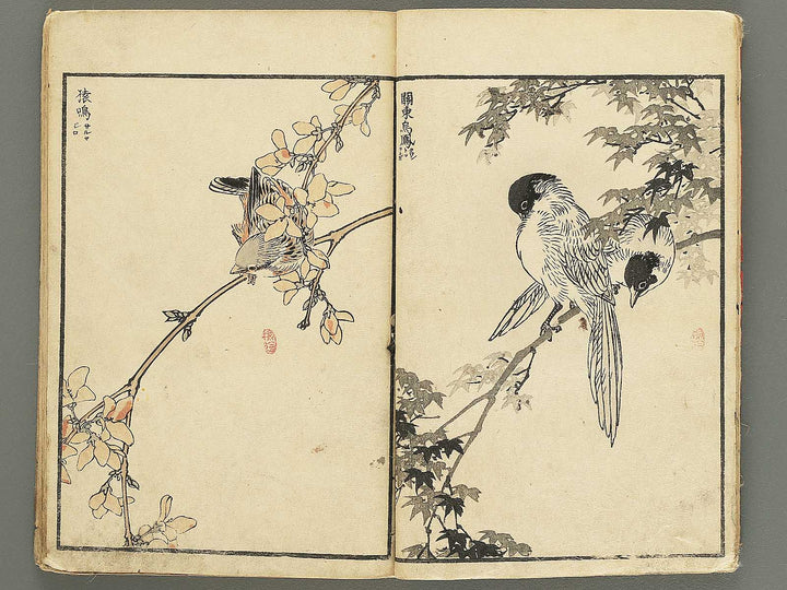 Bairei hyakucho gafu by Kono Bairei / BJ354-907
