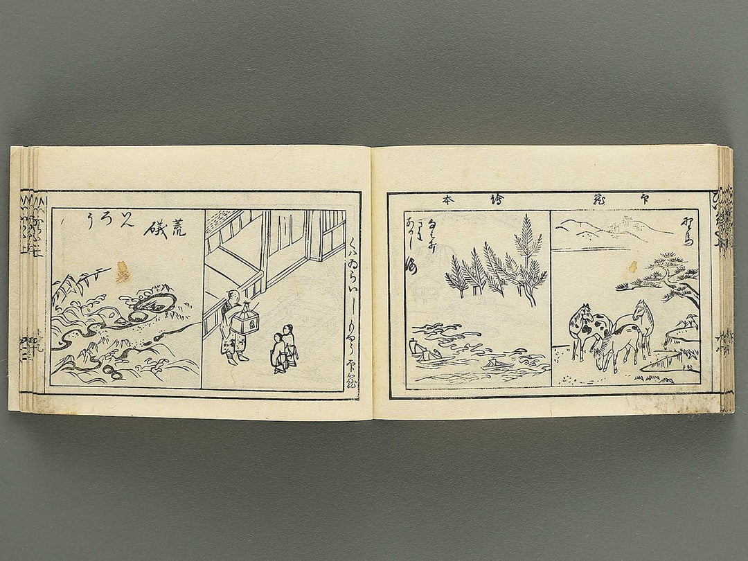 Iitogusa (Jo) / BJ343-224