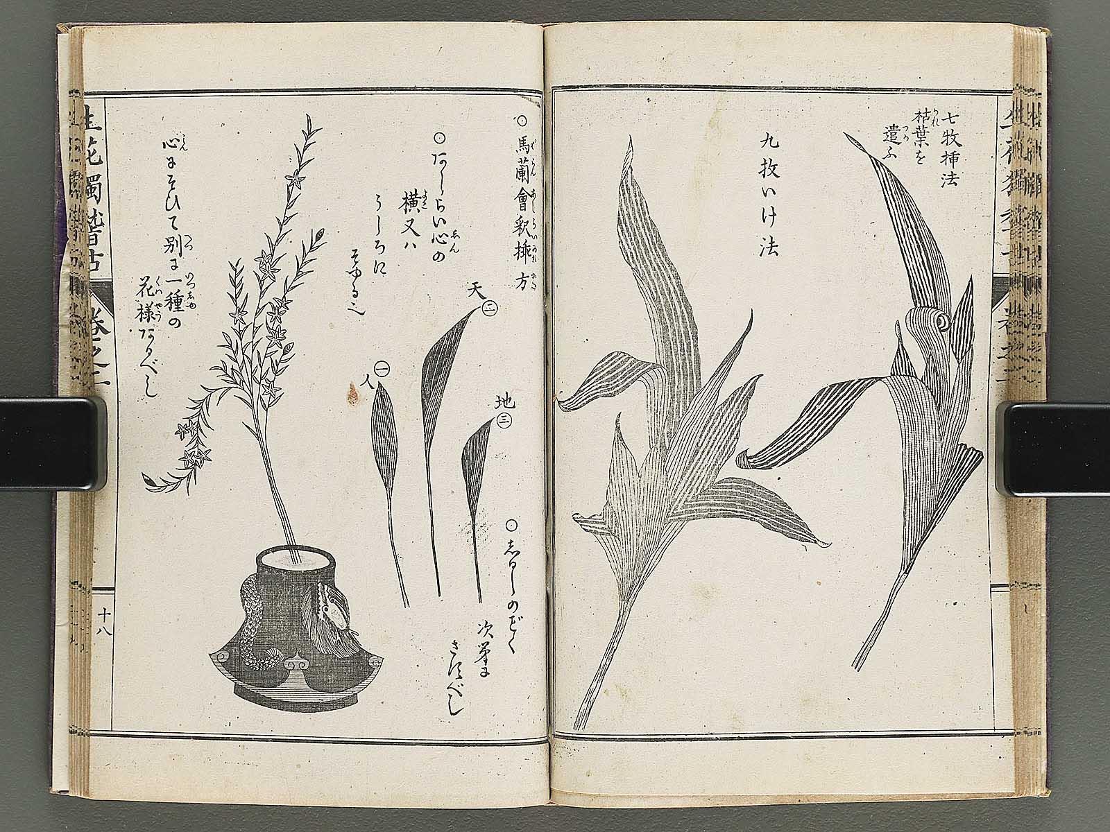 Shoryu hiden ikebana hitorigeiko Volume 2 / BJ347-935 – NIHONKOSHO