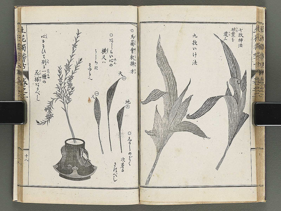 Shoryu hiden ikebana hitorigeiko Volume 2 / BJ347-935