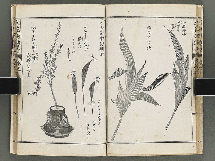 Shoryu hiden ikebana hitorigeiko Volume 2 / BJ347-935