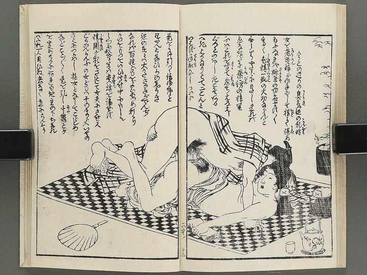Insho kaiko ki Volume 6, (Chu) by Utagawa Yoshikazu / BJ345-786