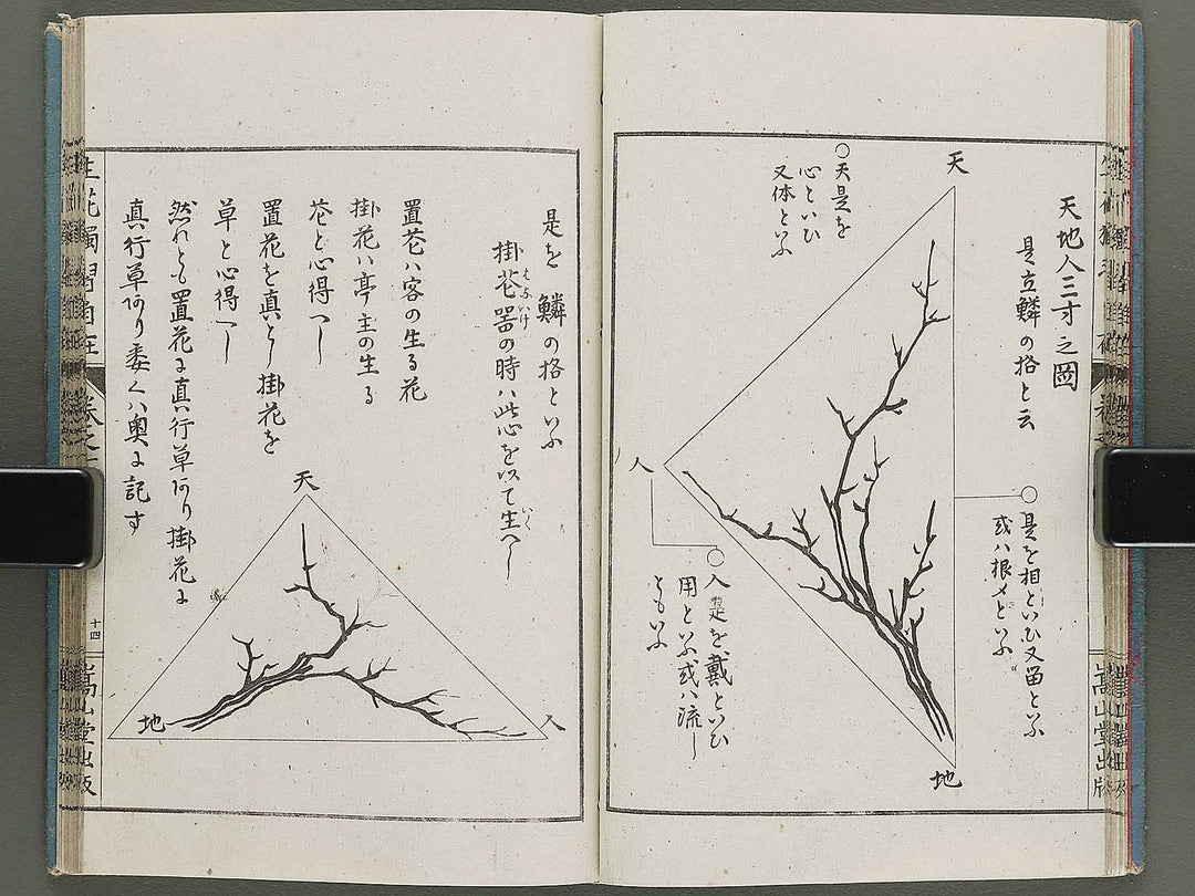 Shoryu hiden ikebana dokushu jizai Volume 1 / BJ332-738