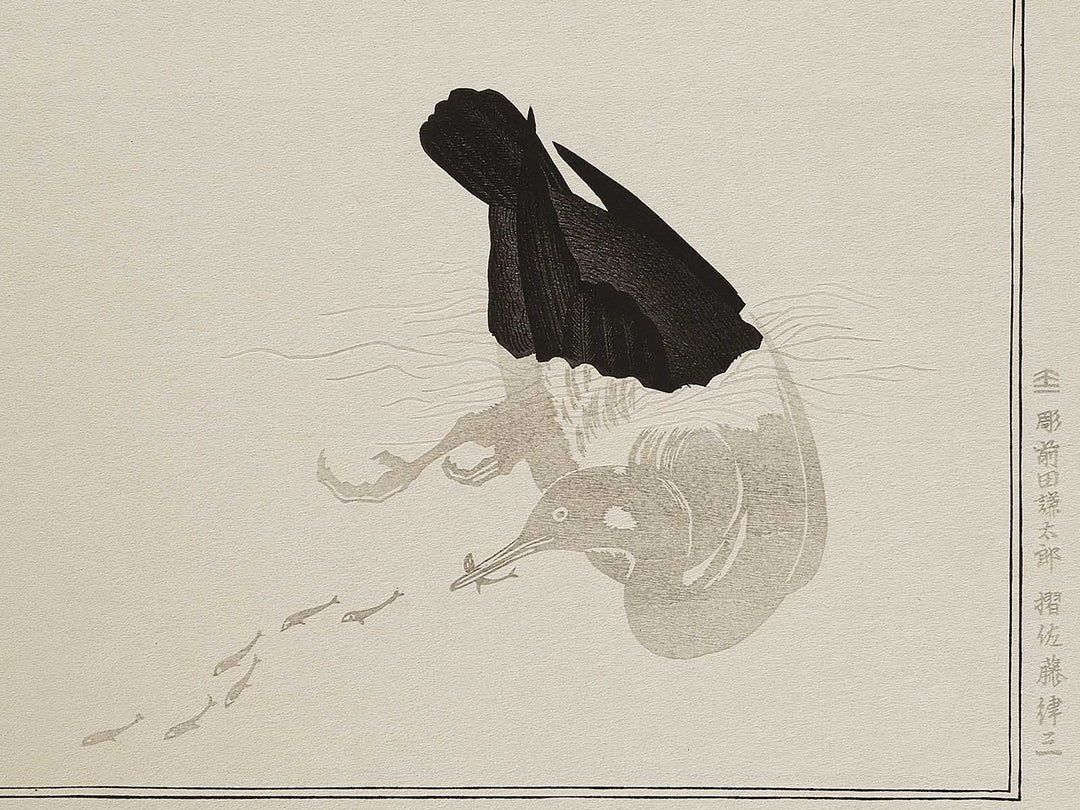 Cormorant and Heron from the series Momochidori kyoka awase by Kitagawa Utamaro, (Large print size) / BJ328-041