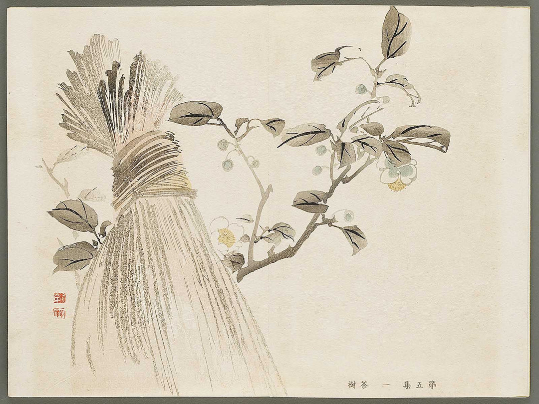 Shuga hyakudai Volume 5 by Kawabata Gyokusho / BJ333-571