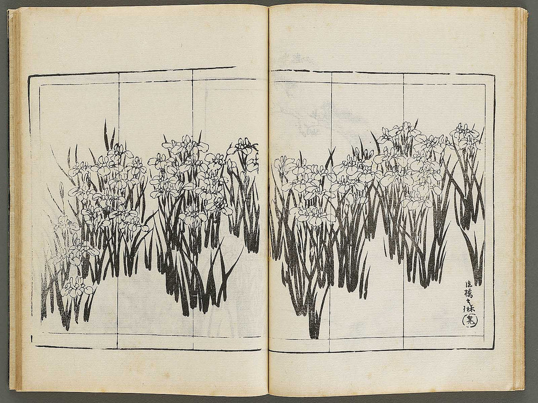 Meiki zukan Volume 6 / BJ328-958