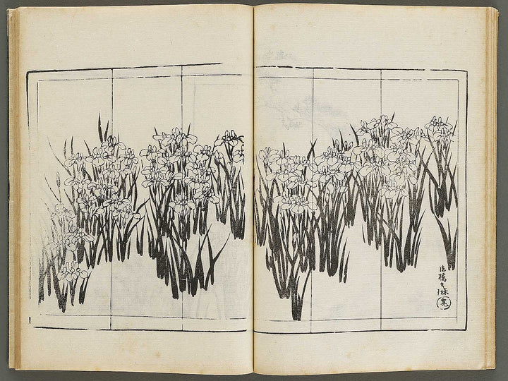 Meiki zukan Volume 6 / BJ328-958