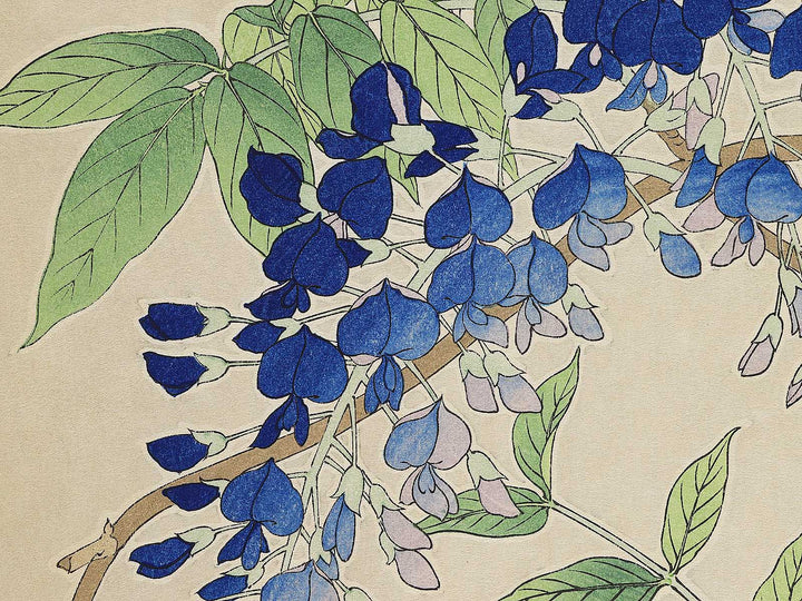 Fuji by Kawarazaki Shodo, (Large print size) / BJ347-998
