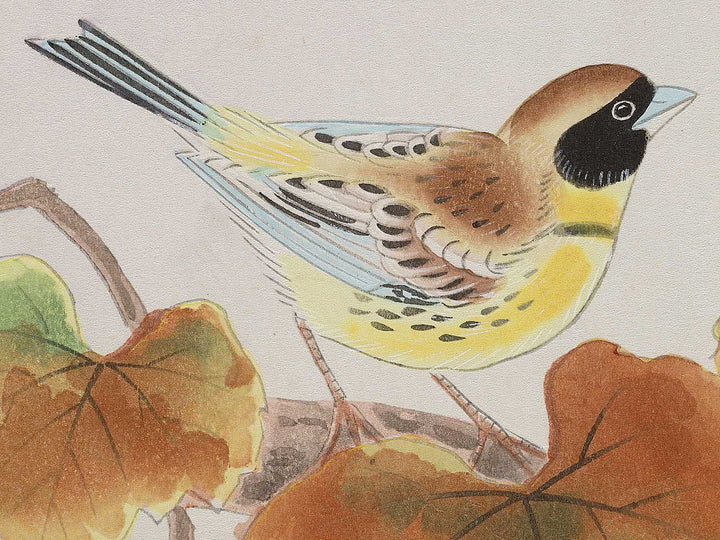 Budo ni shimaaoji by Ashikaga Shizuo, (Large print size) / BJ331-345