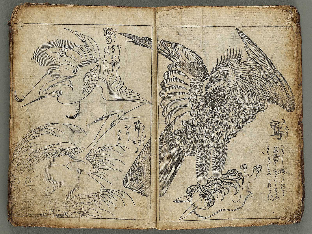 Etehon (Title Unknown)  / BJ337-561