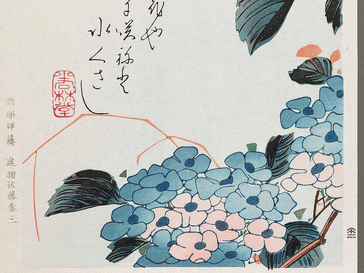 Hydrangea glue cicada by Utagawa Hiroshige, (Medium print size) / BJ307-734