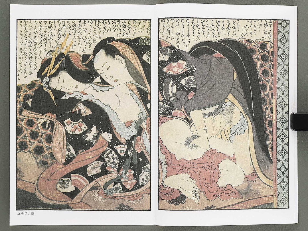 Ezoshi Konoe no komatsu Volume 3 by Katsushika Hokusai / BJ346-437