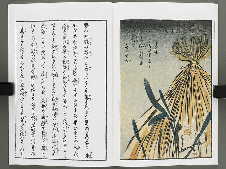 Keichu Okarakuri (Chu) by Utagawa Kunimaro / BJ346-619
