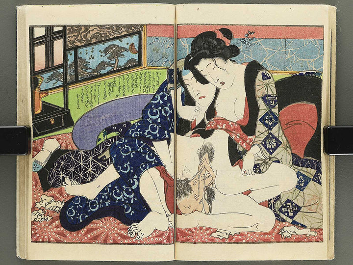 Hana no nemuri shiki monogatari by Insuitei Shozan / BJ355-096