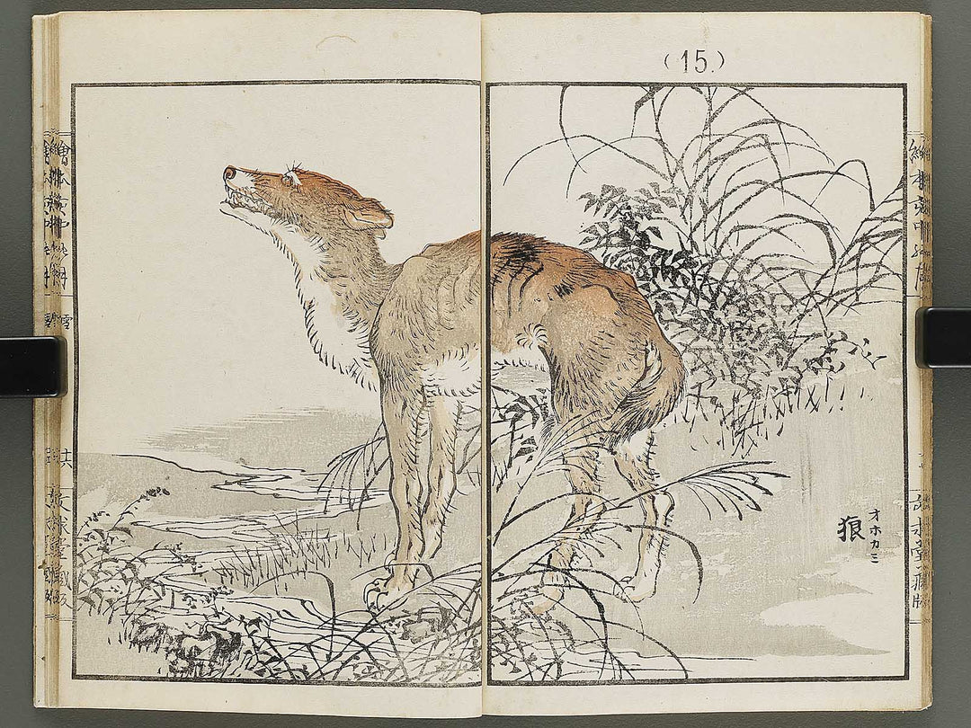 Ehon inaka no tsuki Setsu by Kono Bairei / BJ341-222