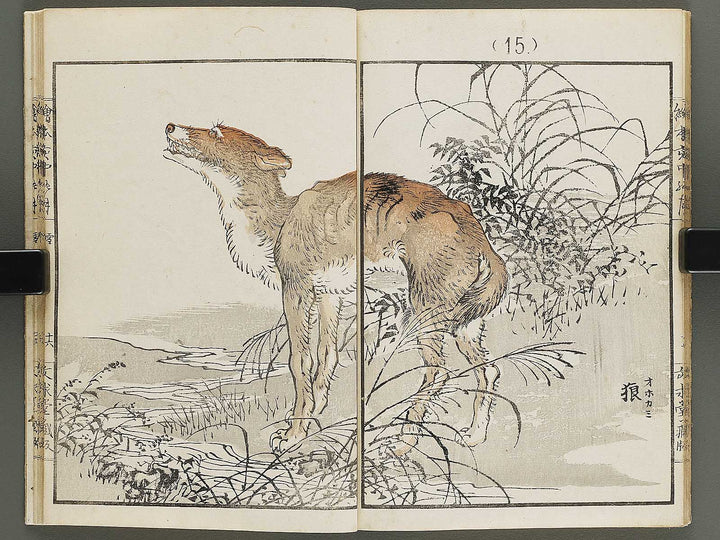 Ehon inaka no tsuki Setsu by Kono Bairei / BJ341-222