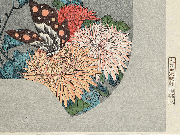 Kiku ni cho by Utagawa Hiroshige, (Large print size) / BJ339-248