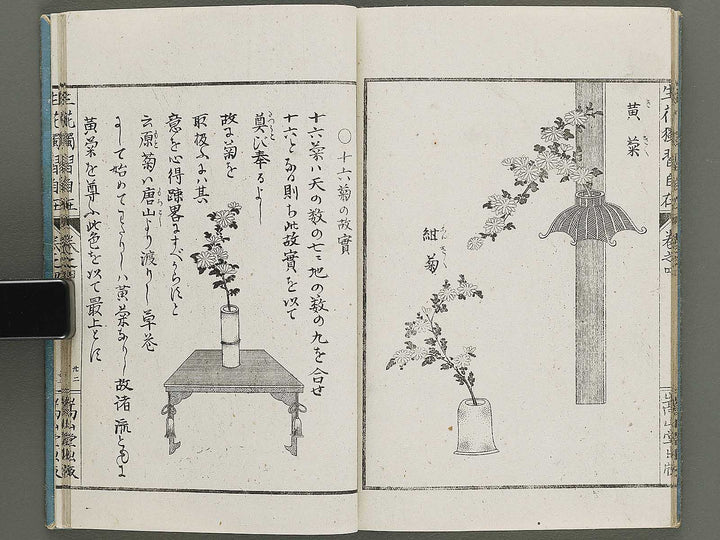 Shoryu hiden ikebana dokushu jizai Volume 4 / BJ332-759