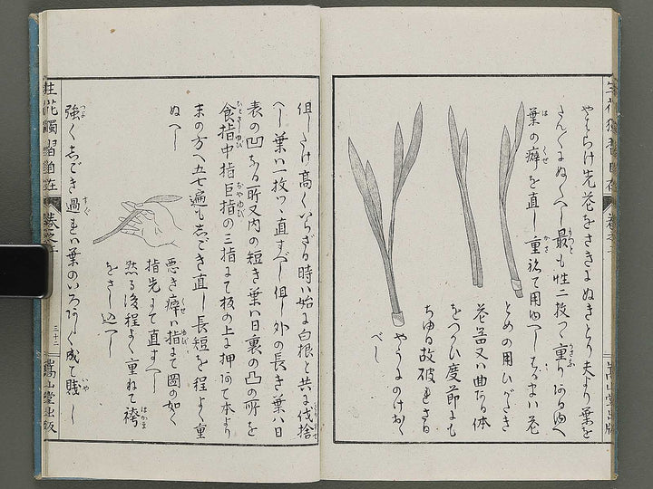 Shoryu hiden ikebana dokushu jizai Volume 2 / BJ332-745