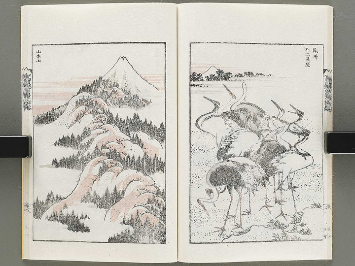 Hokusai fugaku hyakkei Part 1 by Katsushika Hokusai / BJ331-863