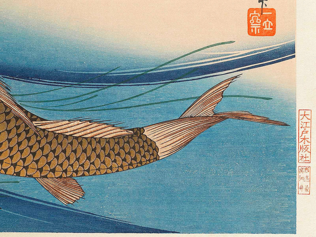 Japanese Carp from the series the series fish by Utagawa Hiroshige, (Large print size) / BJ322-819