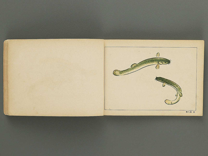 Jinjo shogaku zuga Dai 2gakunen jido yo by Monbusho / BJ349-335