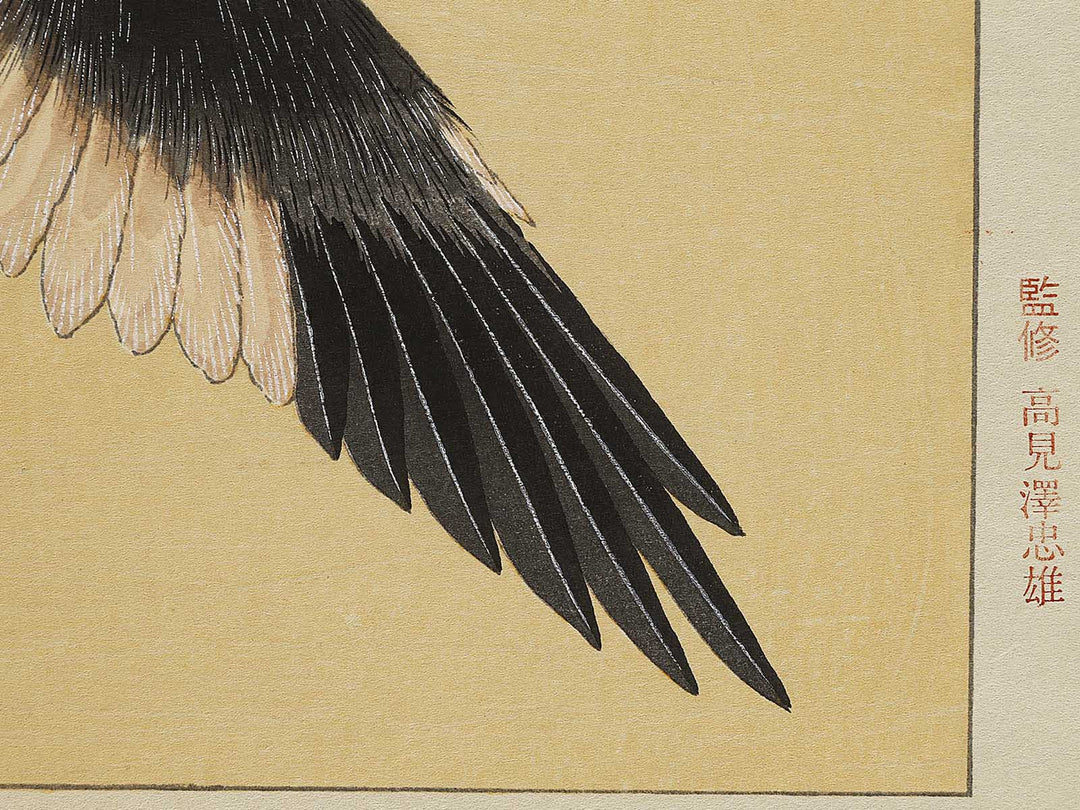 Konotori by Katsushika Hokusai, (Medium print size) / BJ327-446