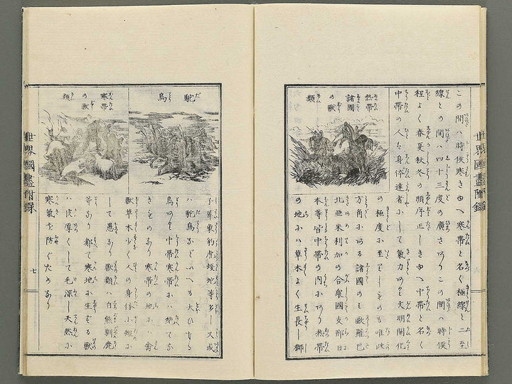 Tosho taizen sekai kuni dukushi (Furoku) / BJ348-159