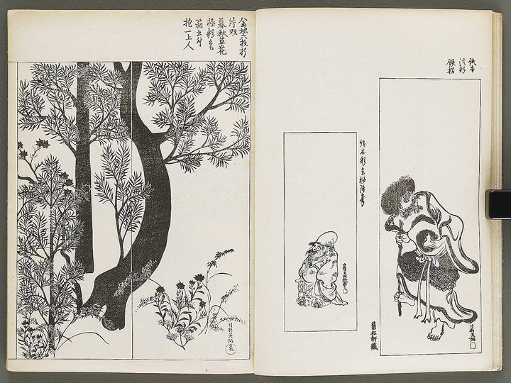 Korin shinsen hyaku zu (Ge) by Ogata Korin / BJ337-274