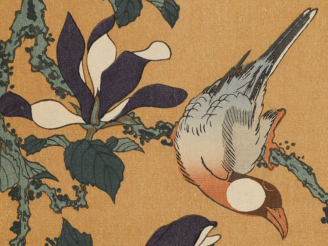 Buncho kobushi no hana by Katsushika Hokusai, (Large print size) / BJ336-119