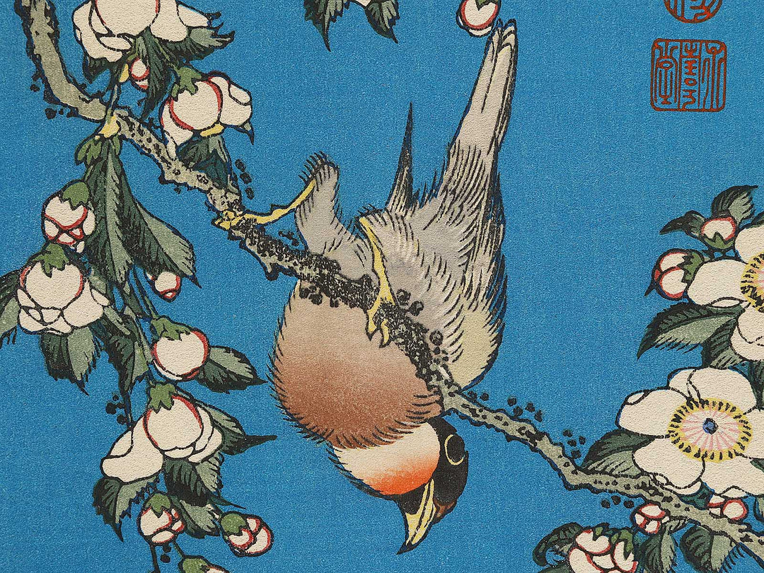 Weeping cherry blossoms against a dark indigo background, capturing the moment a Japanese bullfinch comes to peck at the blossoms. by Katsushika Hokusai, (Medium print size) / BJ321-643