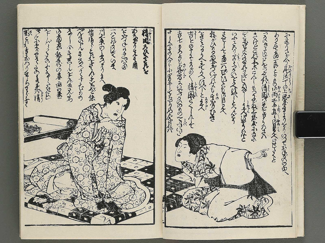 Insho kaiko ki Volume 9 by Utagawa Yoshikazu / BJ345-723