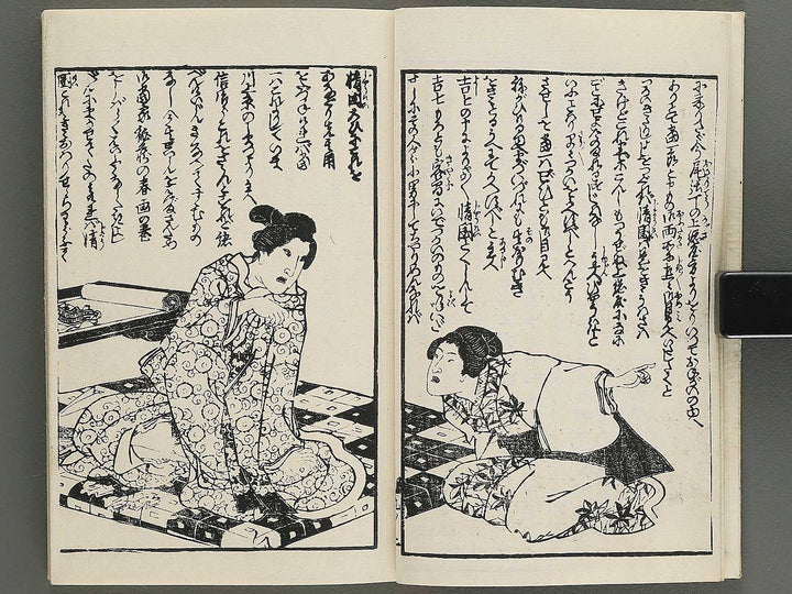 Insho kaiko ki Volume 9 by Utagawa Yoshikazu / BJ345-723