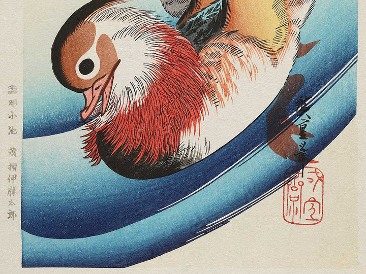 Mandarin duck  by Utagawa Hiroshige, (Medium print size) / BJ304-591