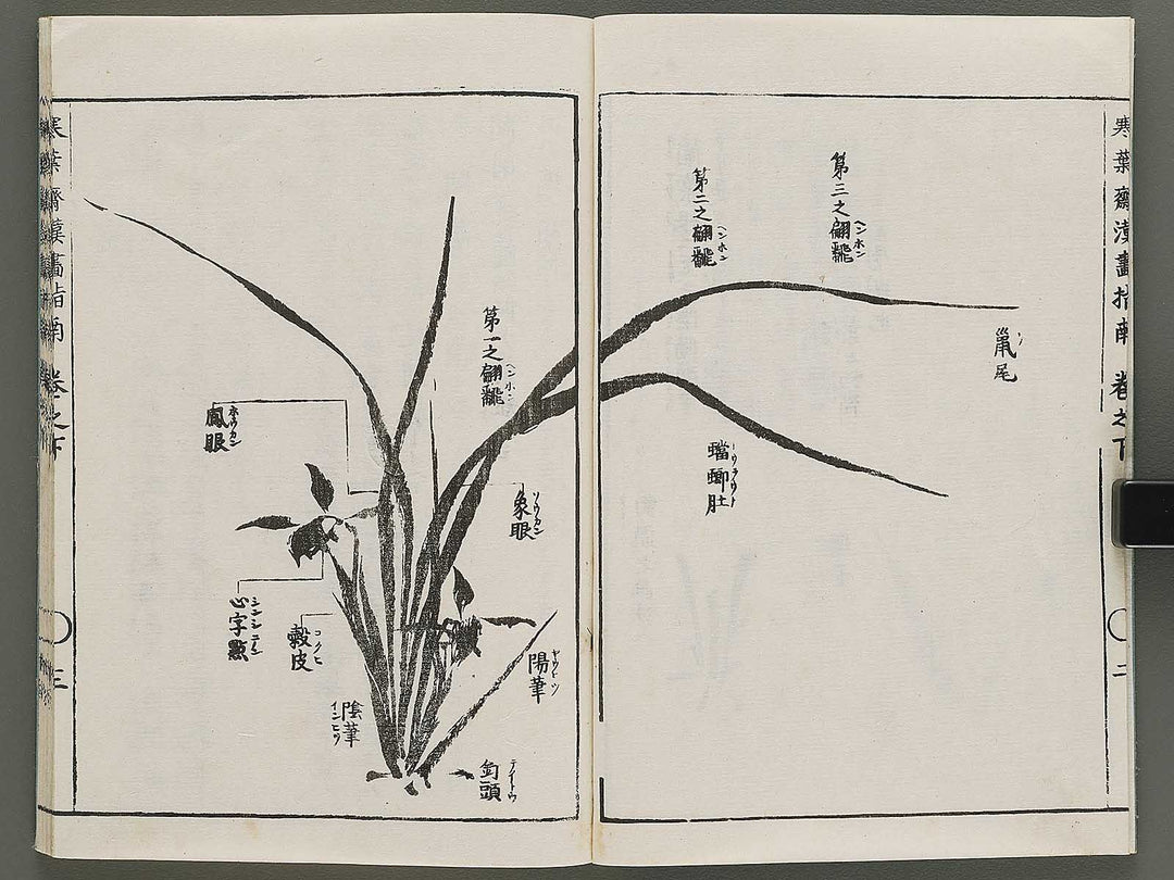 Kanga shinan Kon (Part 2 of 2) by Takebe Ayatari / BJ335-846