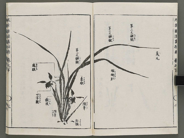 Kanga shinan Kon (Part 2 of 2) by Takebe Ayatari / BJ335-846