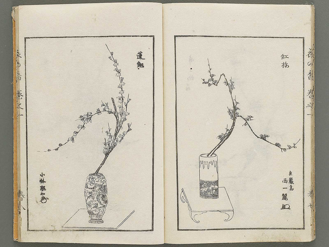 Soka koromonoka Volume 1 by Hishikawa Sori / BJ335-167